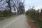Strada Rozelor
