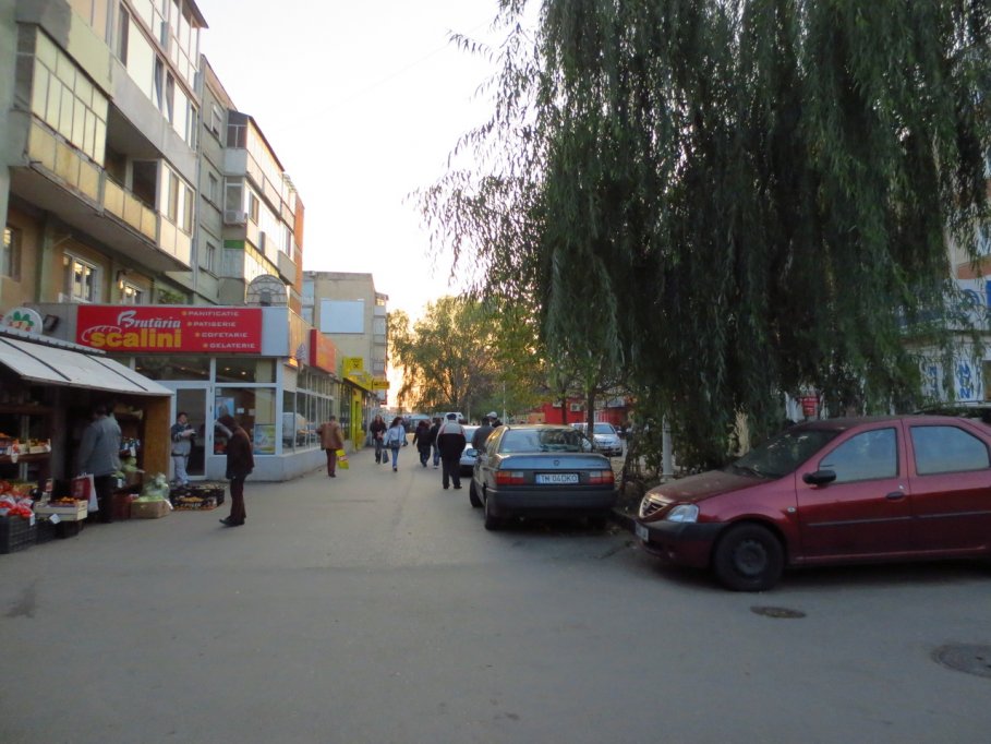 Strada Stiintei