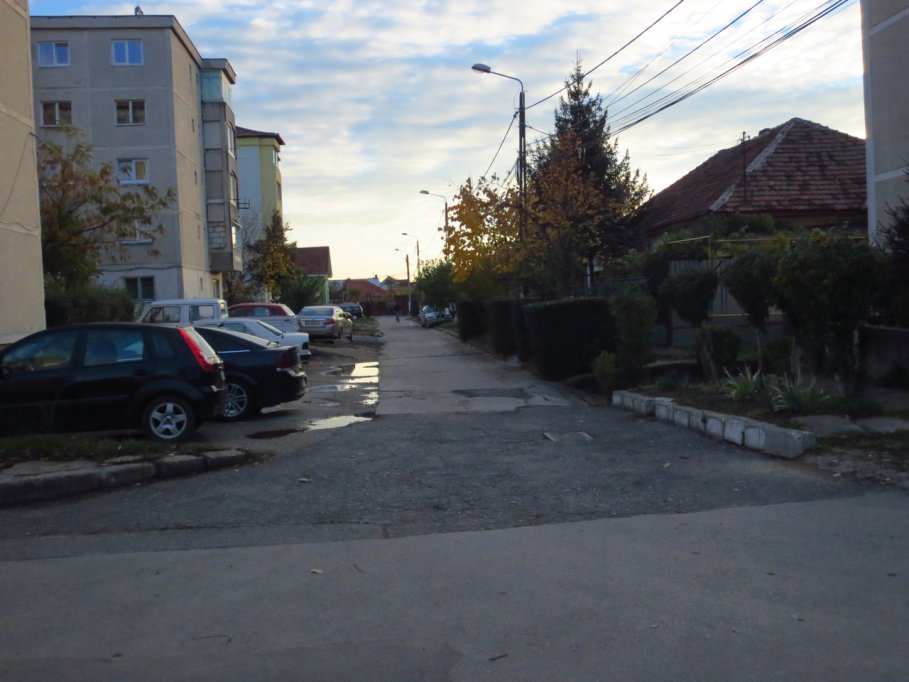 Strada Verde, strada din Timisoara