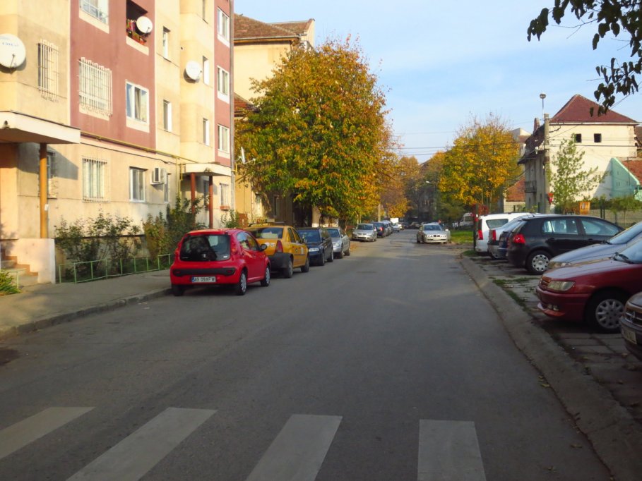 Strada Viorelelor