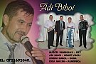 Adi Biboi