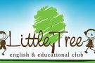Little Tree Timisoara
