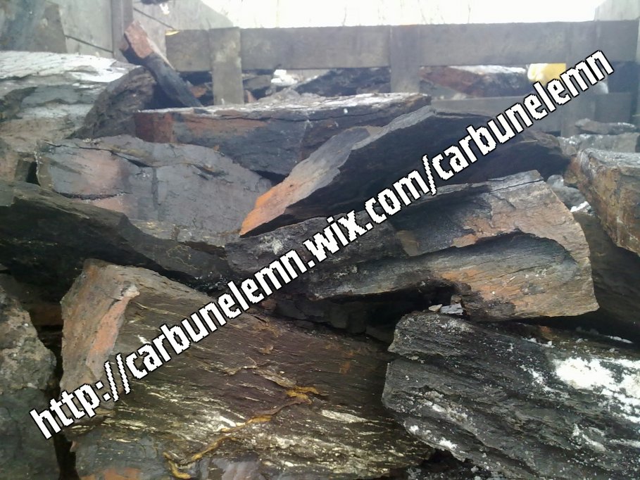 Vanzare de carbuni in Timisoara