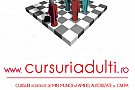 Curs Contabil in Timisoara