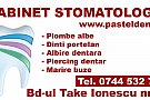 C. M. Pastel Dent