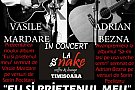 Concert Eu si Prietenul Meu by Snake