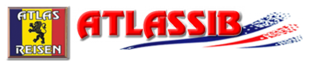 Agentia Atlassib Timisoara