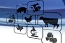 Directia Sanitara Veterinara si pentru Siguranta Alimentelor Timis