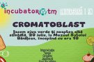 Cromatoblast cu Incubator107 Timisoara la Muzeul Satului 