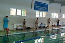 Clubul de Inot MASTERS Timisoara