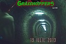 Officially Grasshoppers live @Manufactura