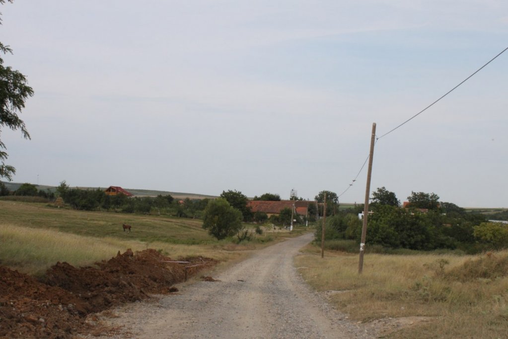 Petrovaselo
