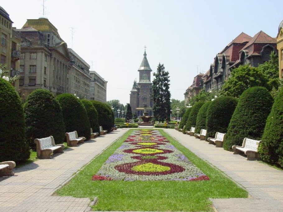 Timisoara - Asezare Geografica