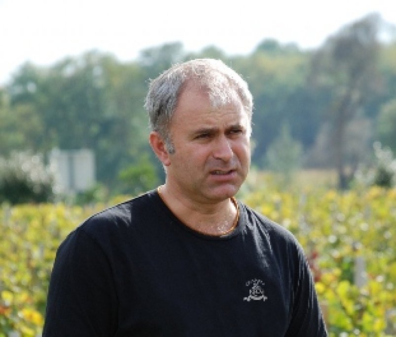 Vinurile din recolta 2013 de la Cramele Recas vor fi produsul a trei vinificatori straini