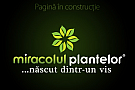 Magazin Miracolul Plantelor 