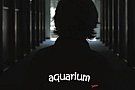 Concert Aquarium Jazz Trio la Timisoara