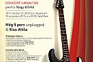 Concert umanitar cu trupa Meg ot perc