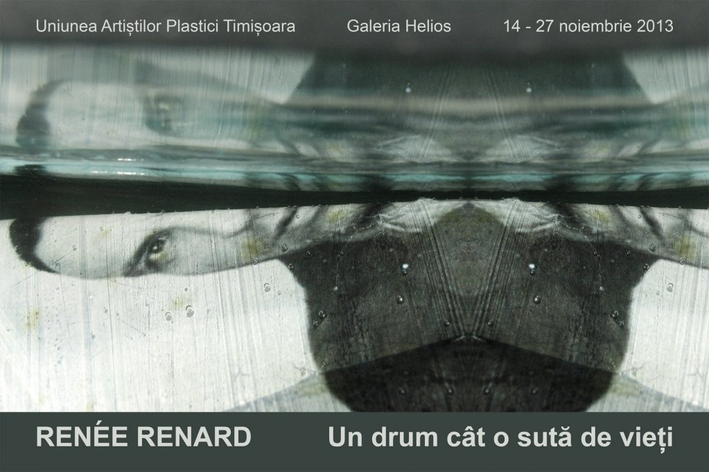 Un drum cat o suta de vieti - Renée Renard