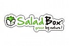 Salad Box