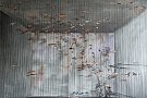 Embryos - Stefan Petrica
