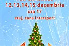 Festivalul de Crăciun - Fun Christmas