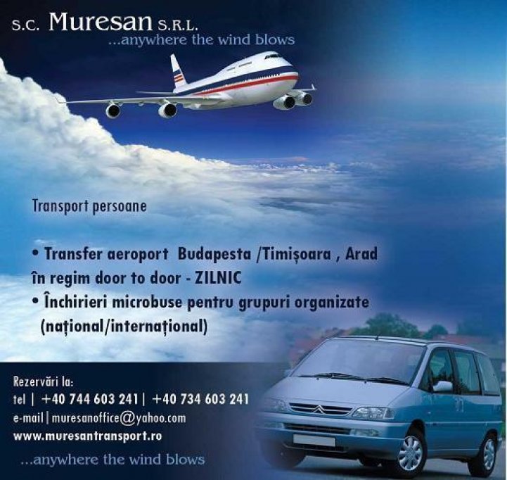 Muresan Transport
