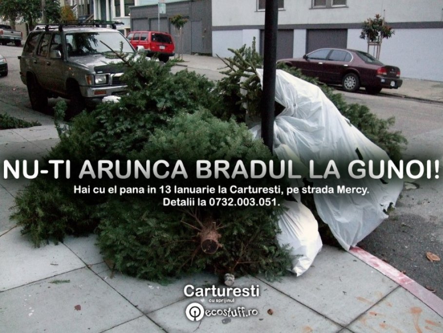 Nu-ti arunca bradul la gunoi!