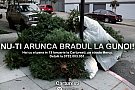 Nu-ti arunca bradul la gunoi!