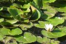 Tabăra "Calacea - 2013" - Pictura si turism