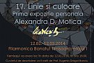 17. Linie si culoare