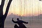 Curs de Initiere in Taijiquan si Qigong