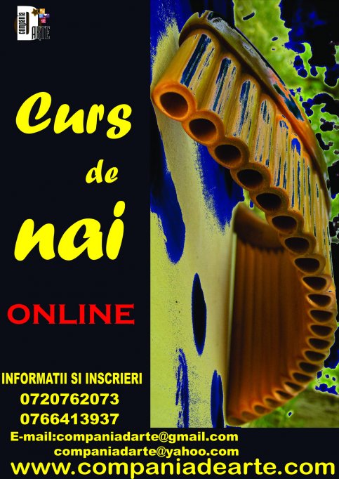 Cursuri individuale de nai online