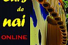 Cursuri individuale de nai online