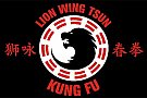 Wing Tsun Kung Fu