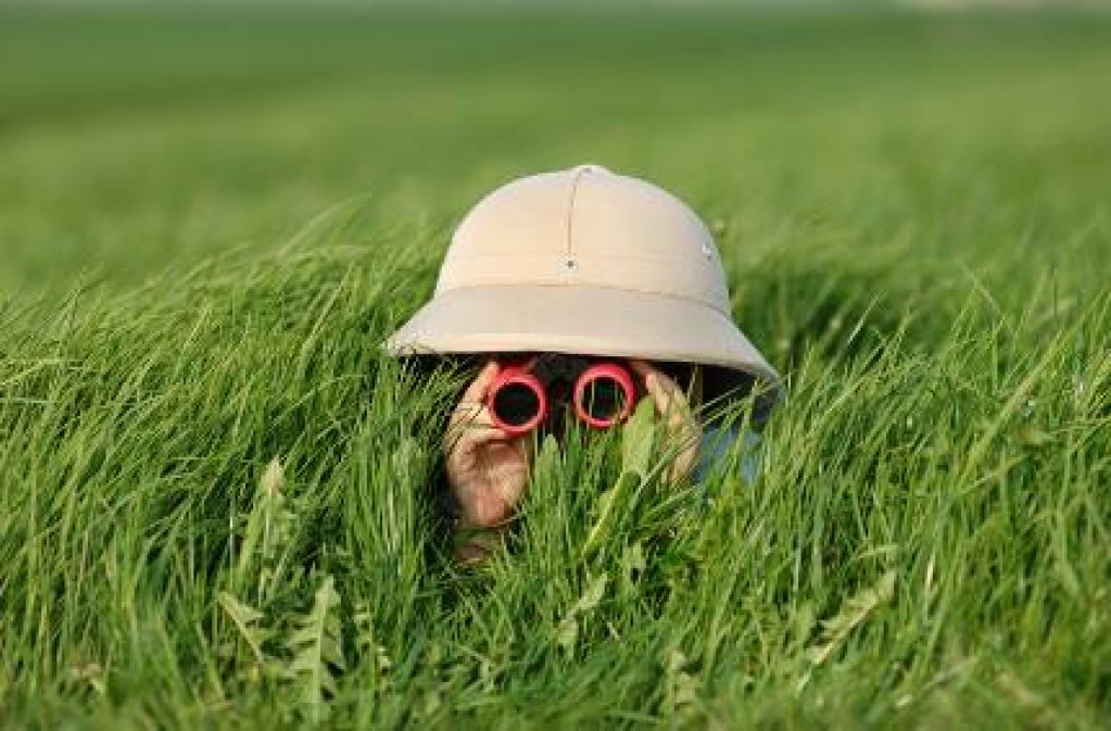 Comunicare in natura