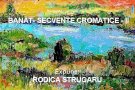 Expozitie de pictura "Banat - Secvente cromatice II" Rodica Strugaru