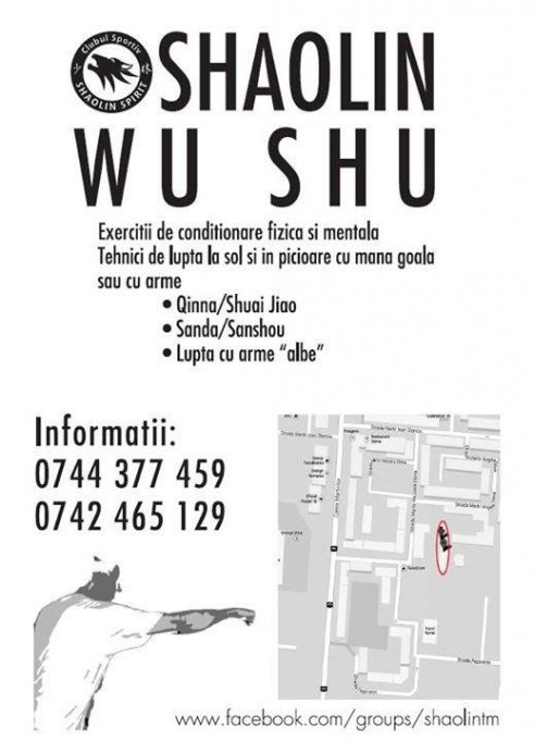 Shaolin Wu Shu - Cursuri de Arte Martiale