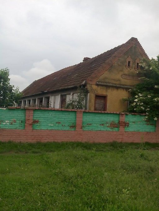 Vand casa cu gradina in Belint