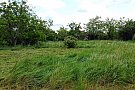 Proprietar vand teren 2577 m2 + hala 300 m2
