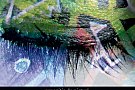 Hipnotic - Expozitie de pictura