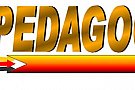 caut loc de munca in invatamant ,pedagog social,ONG