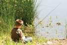 Cupa Junior Carp Team Timisoara