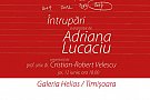 INTRUPĂRI - EXPOZITIE DE ARTA CONTEMPORANA - SEMNATA DE ADRIANA LUCACIU