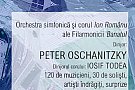Concertul in aer liber din Piata Balcescu
