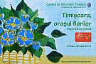 Expozitia de pictura "Timisoara, orasul florilor"