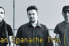 Concert de jazz cu Sebastian Spanache Trio
