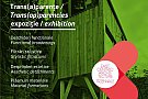 Expozitia Trans(a)parente