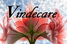 Conferinta despre vindecare in noile energii