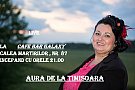 Muzica Live
