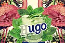 Hugo Deep-Amiaza